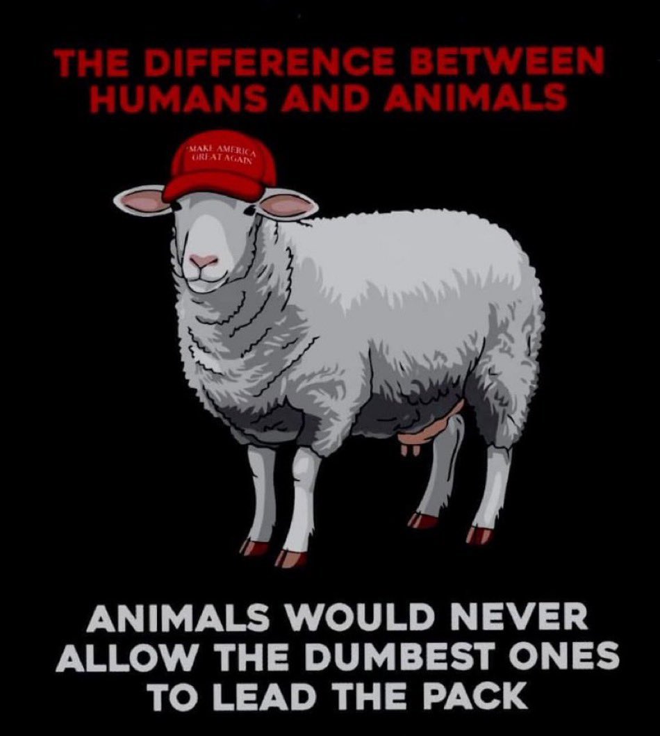 @rxdkdm <a href="/MAHA_Certified/">MAHA_Certified</a> <a href="/PrepperCanadian/">Canadian Prepper</a> Funny no MAGA was saying any of this before Trump. All of you are sheep, you believe then repeat the same shit he says. And then think you are right and above everybody. Kind of pathetic..  America can’t even take care of its own problems and we want to take on another country?