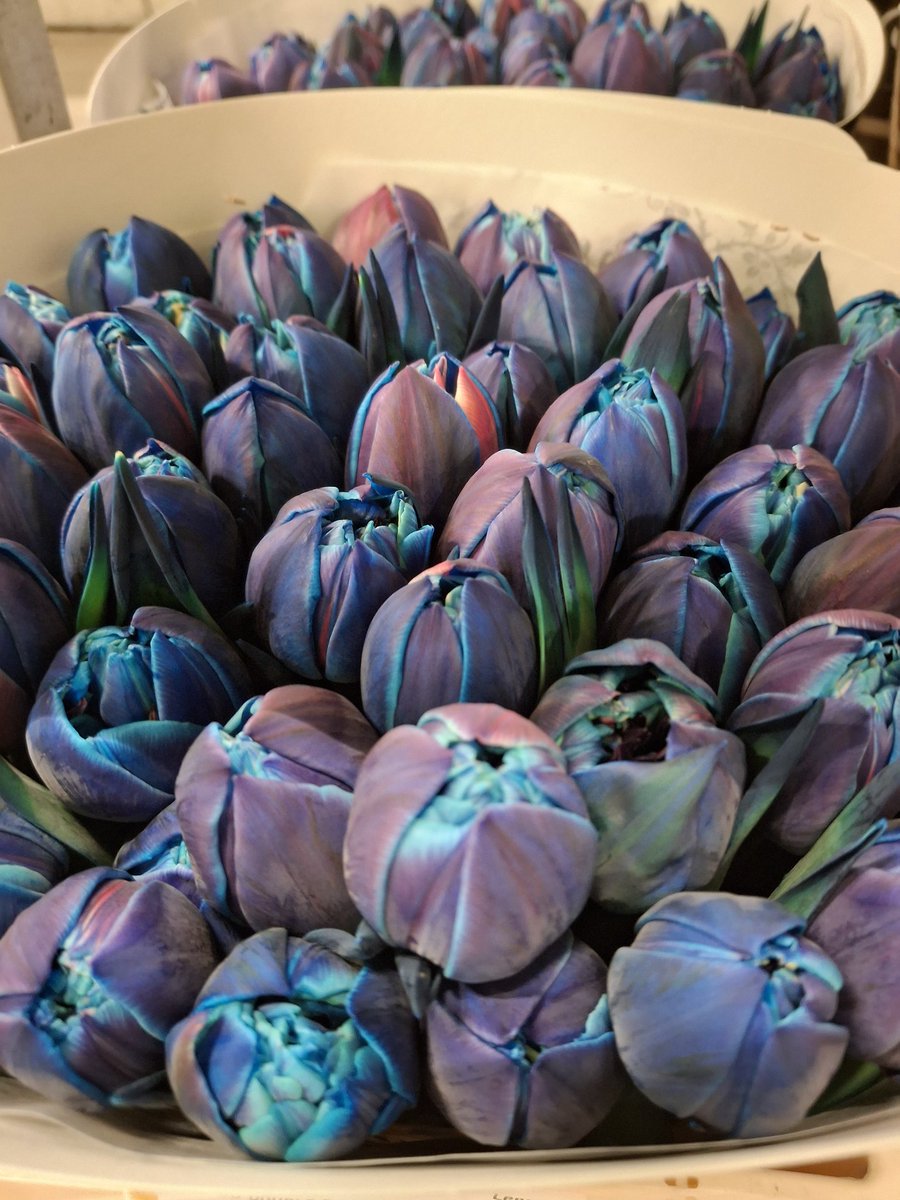 Totaal 7983 staan te wachten