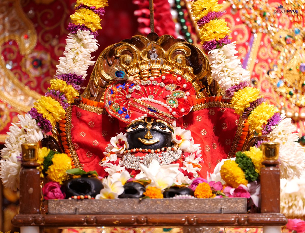 ISKCONPune's tweet photo. 🙏🏽Today's Darshan 📿 🗓29-04-2025🙏
🌷Sri Sri Jagannath Baldev Subhadra🌷
🚩@ISKCONNVCCPune🚩
.
.
#ISKCON #ISKCONNVCC #ISKCONNVCCPune #ISKCONPune
#29thapril #29thapril2025 #Tuesday #Vrindavan
#Harinaamsankirtan #Radheshyamdas #Radheradhe
#Sankirtan #Kirtan #Mayapur #Prabhupada https://t.co/xBziez0PjN