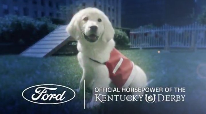KeriStevensReal's tweet photo. @FallonTonight @Ford Awww. Journalism.
#FallonTonight
#FordPartner https://t.co/avxmCypHeV