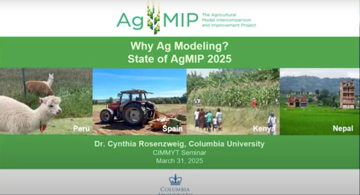 CIMMYT's tweet photo. 🌱 We hosted Dr. Cynthia Rosenzweig from @NASAGoddard and @ColumbiaClimate for a session on how #AgMIP is addressing climate change challenges in #agriculture. Watch the full insightful #webinar!

🔗 https://t.co/UIQH8LWAqX https://t.co/18BZGl1bWx