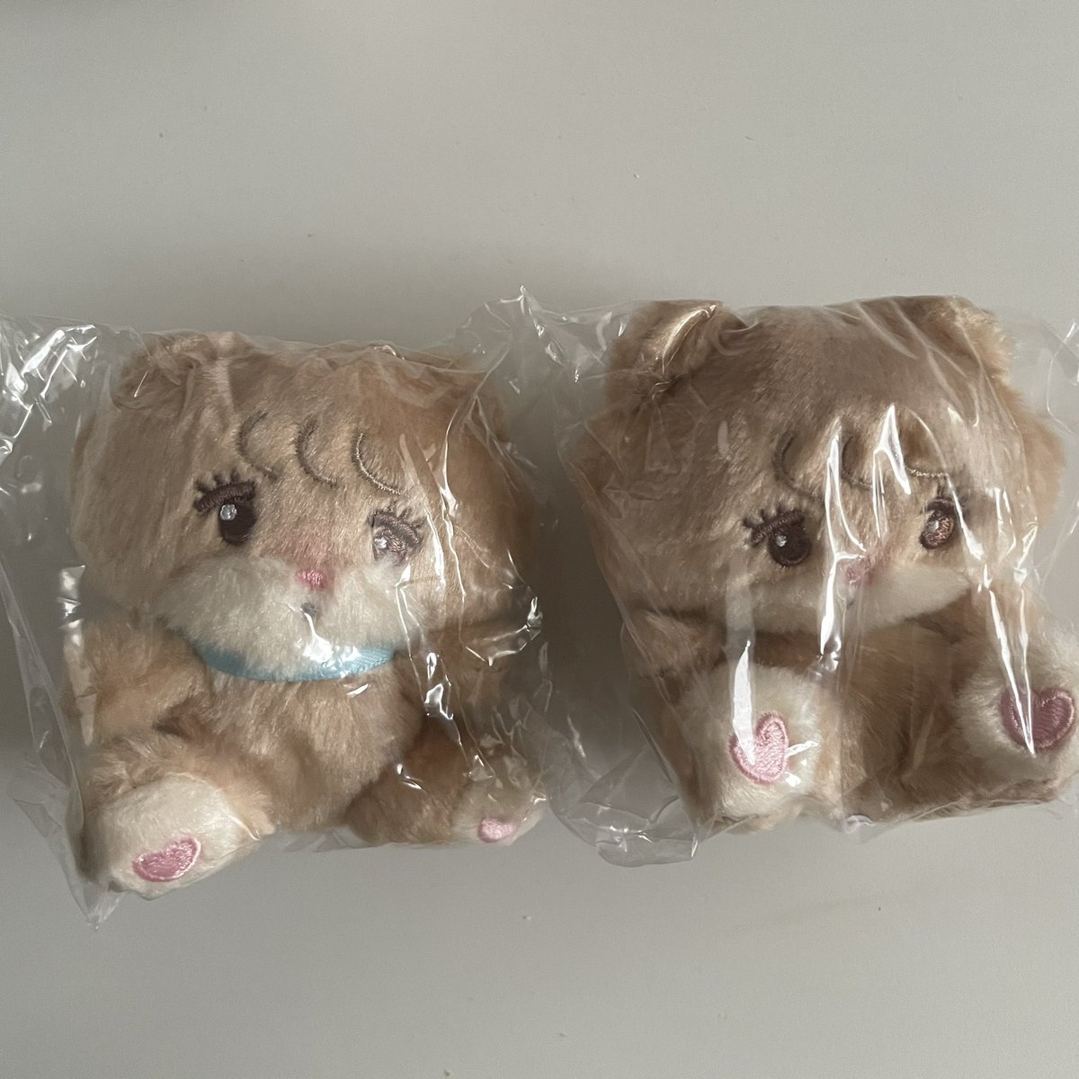 c__ohr's tweet photo. @grn_msm 検索より失礼いたします。
ラテ×2を所持しているのですが、スフレキャミーとの2:2、もしくはキャミーとの1:1の交換は可能でしょうか？郵送希望です。ご検討よろしくお願いいたします🙇🏻‍♀️ https://t.co/n19eT4mW4K