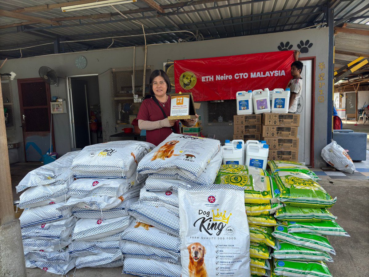 Kumiko777_'s tweet image. @neiro in my opinion is the best representation of CTO and charity in meme, This will open an epoch-making door for meme, there will be more people to imitate neiro, love and peace to the world...