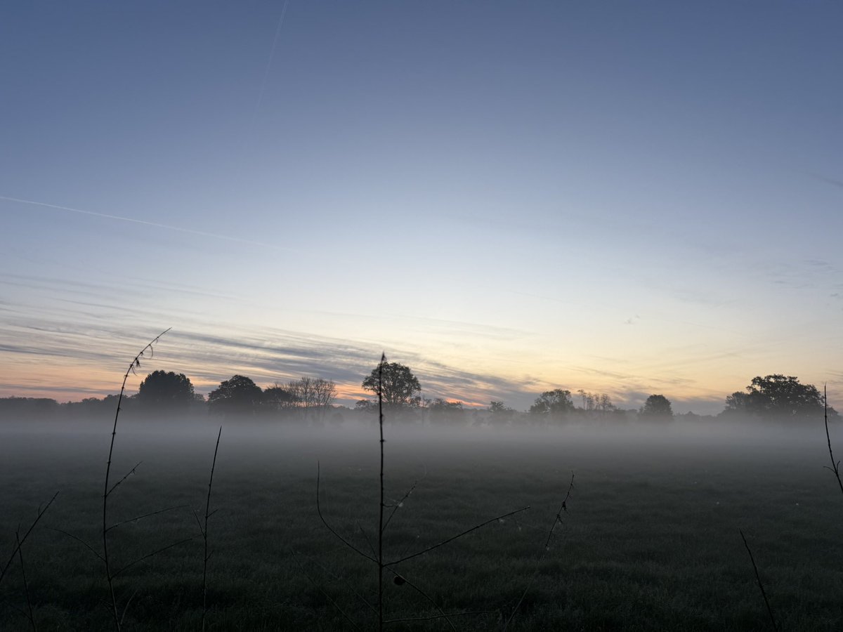 Roderick Enzerink tweet media