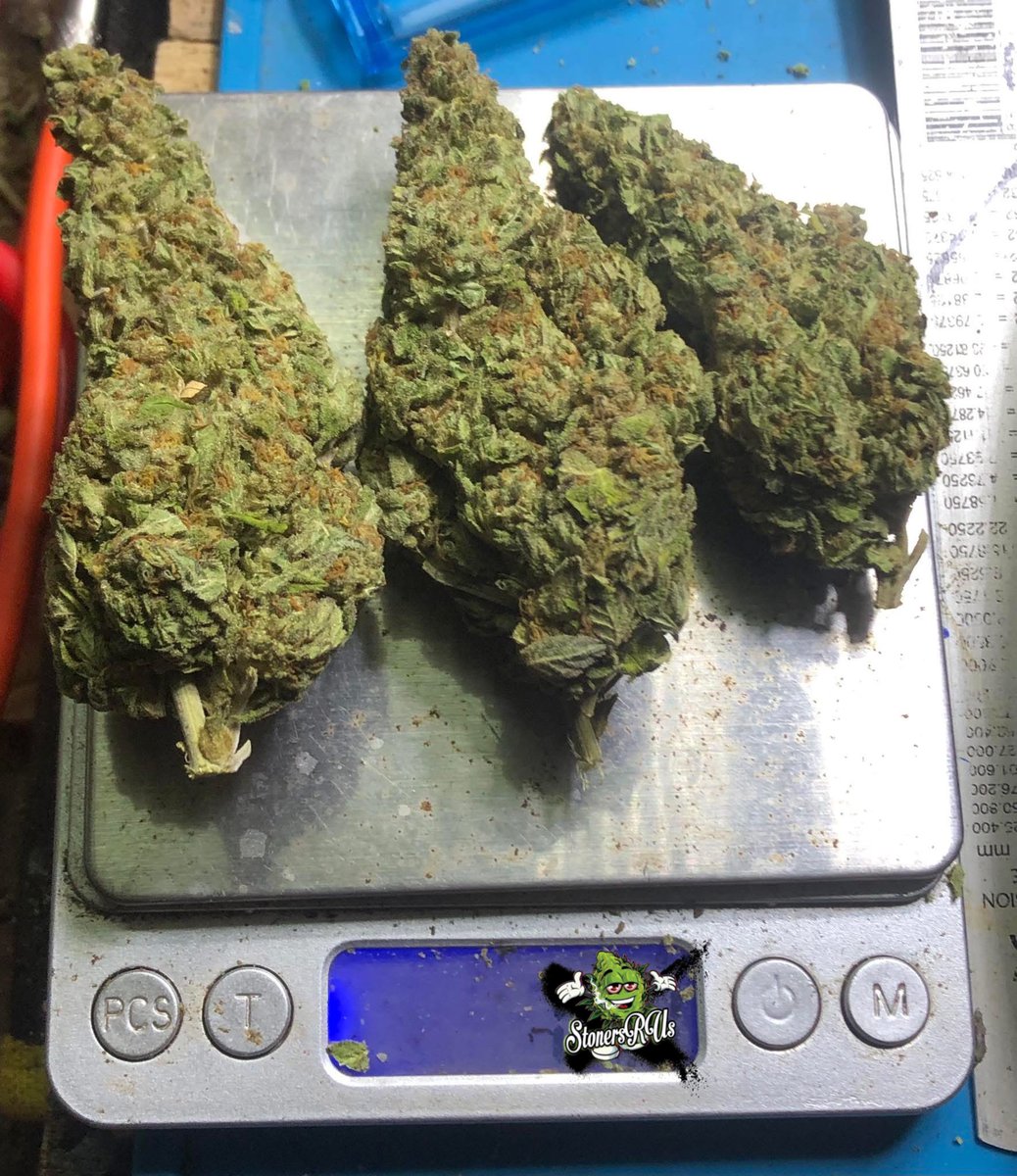 STONERS R US 🍃 tweet media