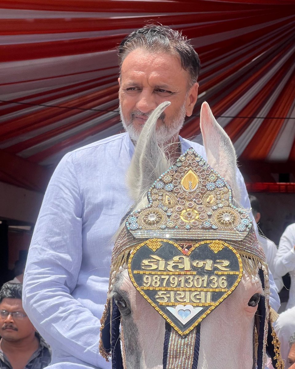 HarshadGiriBJP's tweet photo. એ લોકો ખુશ-નસીબ છે જેના સંજોગો એના સ્વભાવને મળતા આવે છે,
પરંતુ એ લોકો ઉત્તમ છે જે પોતાના સ્વભાવ ને સંજોગો પ્રમાણે ગોઠવી શકે છે. https://t.co/p6qCXQunkn