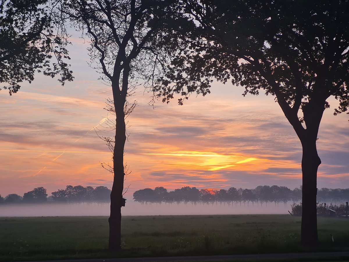 RuthvanderHaar's tweet image. #goedemorgen