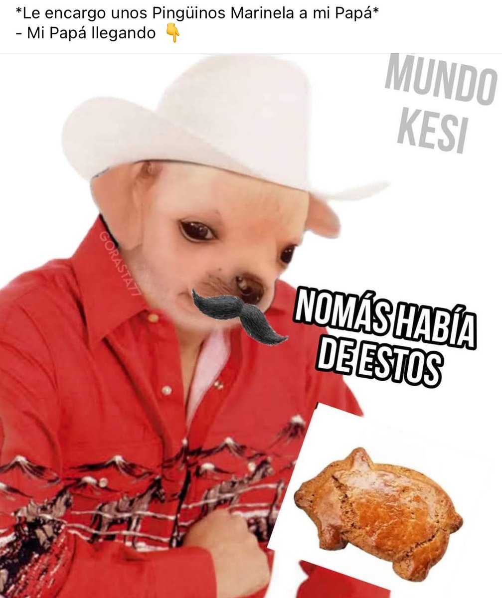 Bismutina's tweet photo. @porqueTTarg Okaaaaay pero los marranitos 🇲🇽🐖😍😍 https://t.co/zD6XYc3Lit