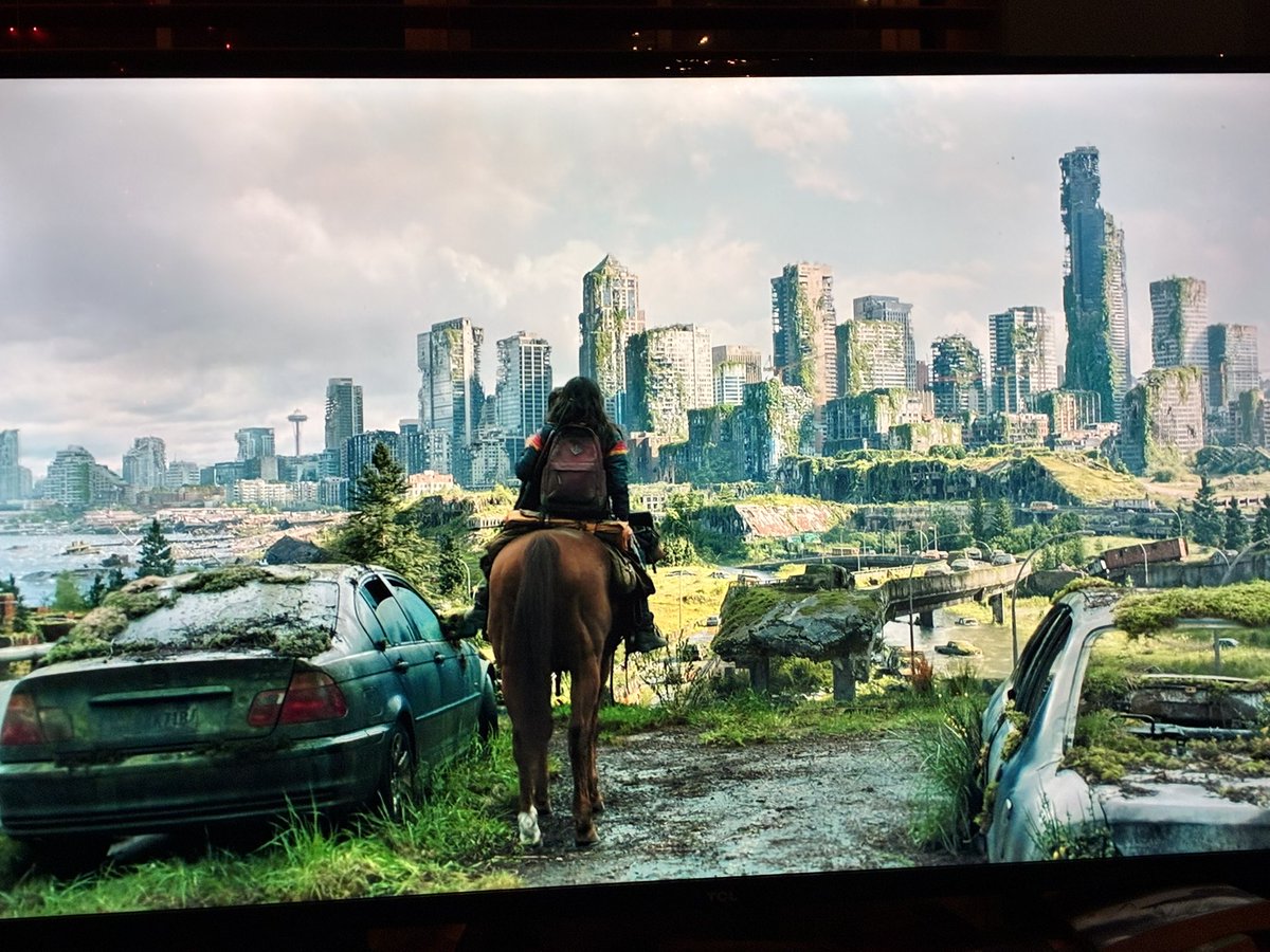 Shane Lantz tweet media