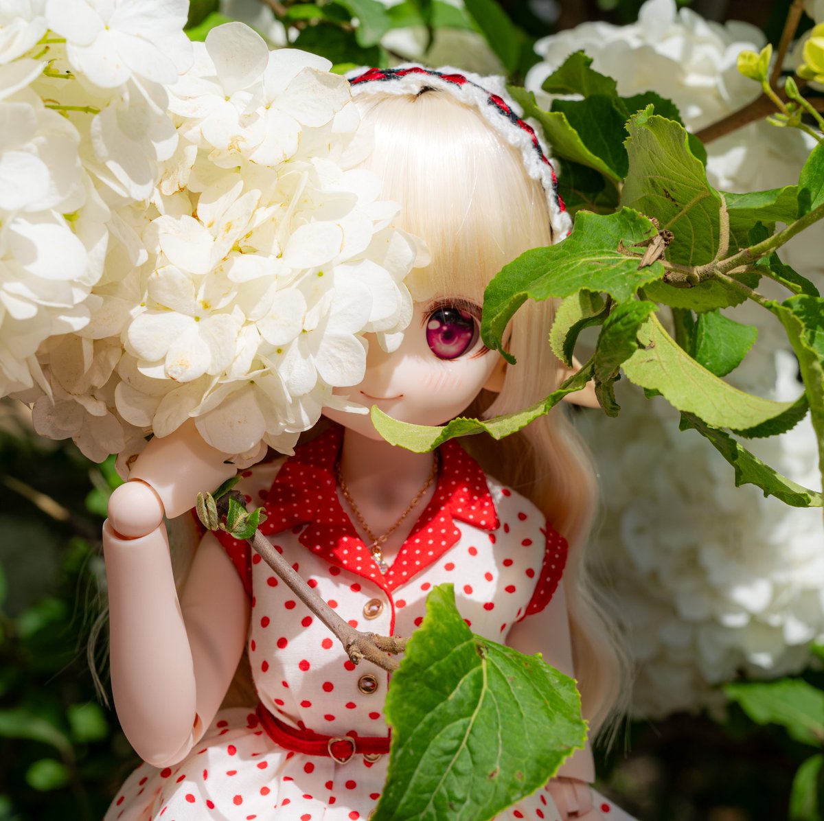 moekooli's tweet photo. #MDDはいいぞ 
#うちのこかわいい https://t.co/9Us5gfS3TQ