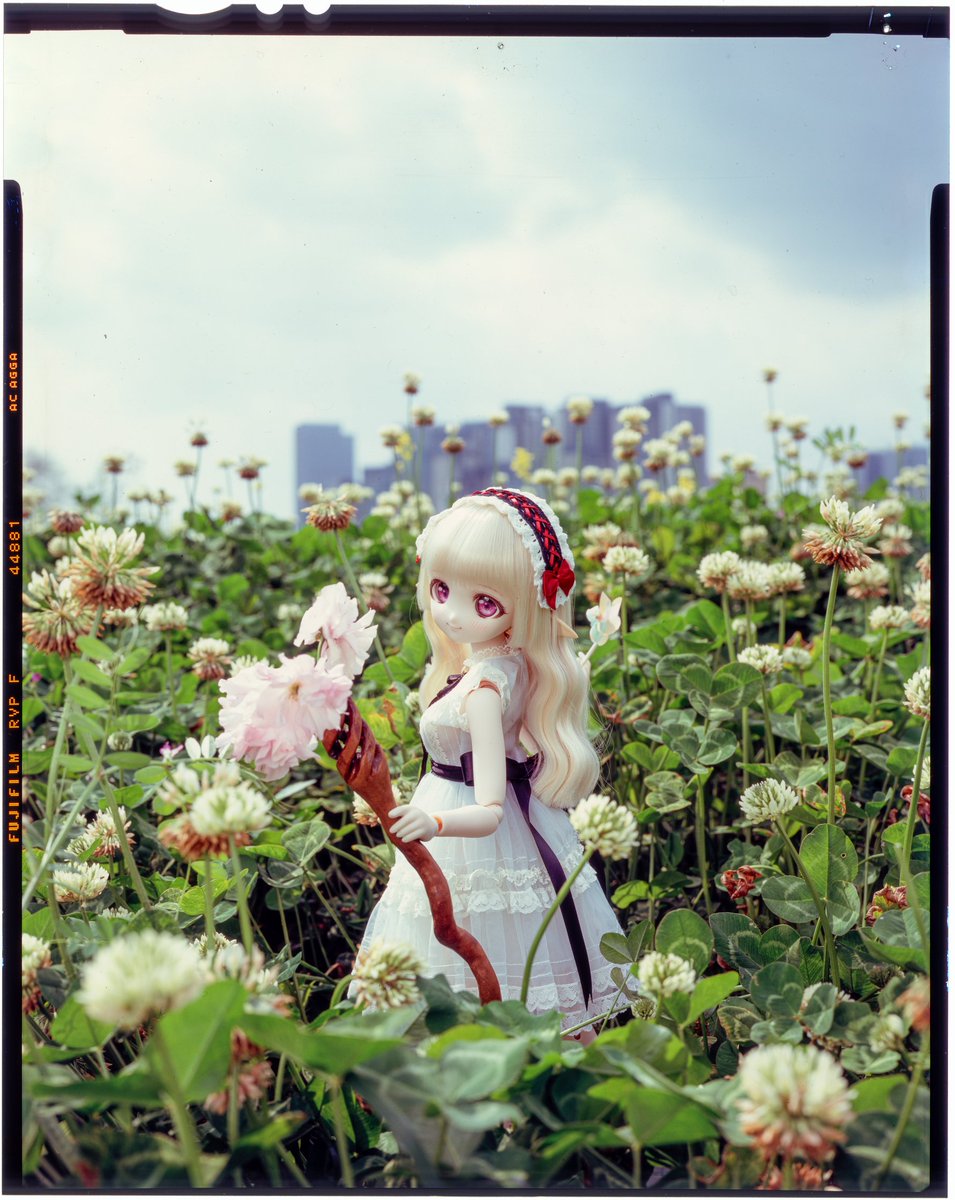 moekooli's tweet photo. #MDDはいいぞ
#うちのこかわいい
fuji RDP3 exp 2009 iso64
fuji RVP100f exp 2024 iso80 https://t.co/QekHn6sa8L