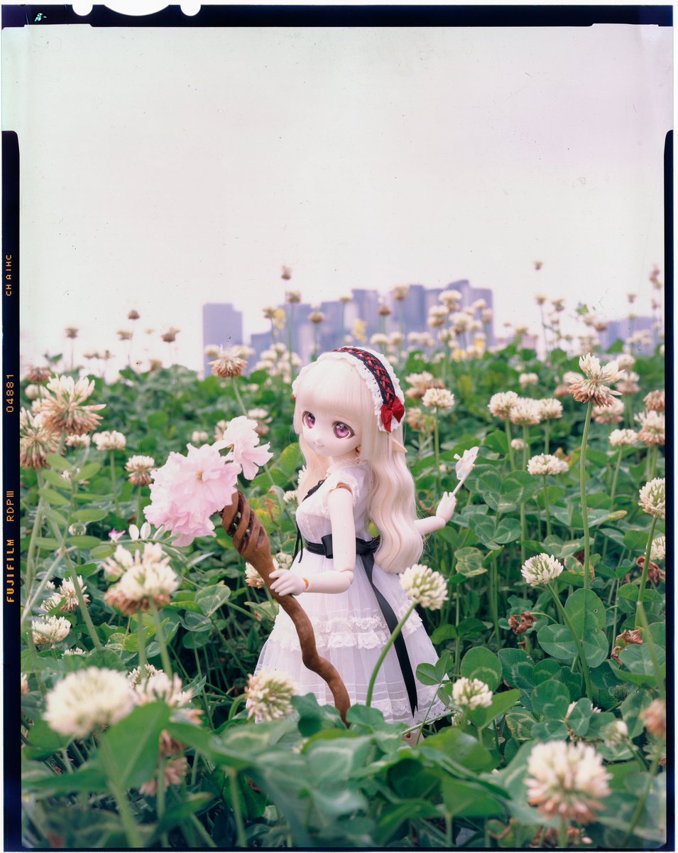 moekooli's tweet photo. #MDDはいいぞ
#うちのこかわいい
fuji RDP3 exp 2009 iso64
fuji RVP100f exp 2024 iso80 https://t.co/QekHn6sa8L