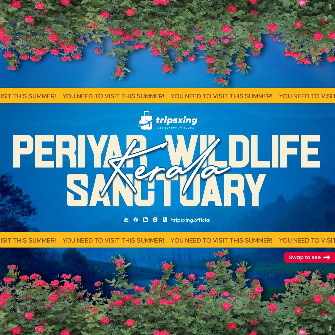 tripsxing_'s tweet photo. Immerse yourself in the wild beauty of Periyar Wildlife Sanctuary—home to elephants, tigers, and a vibrant ecosystem. 🐘🌳 Embark on a boat safari or hike through lush forests for a once-in-a-lifetime wildlife experience! 🌿

#TripsXing #PeriyarWildlife #KeralaNature #Wildlife https://t.co/kXcWq0YAjC