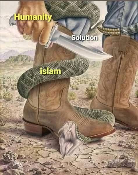 Manikandaraman0's tweet photo. @HPhobiaWatch @IAF_MCC #SaveIndiaFromMuslims https://t.co/uqZ1BODfHu