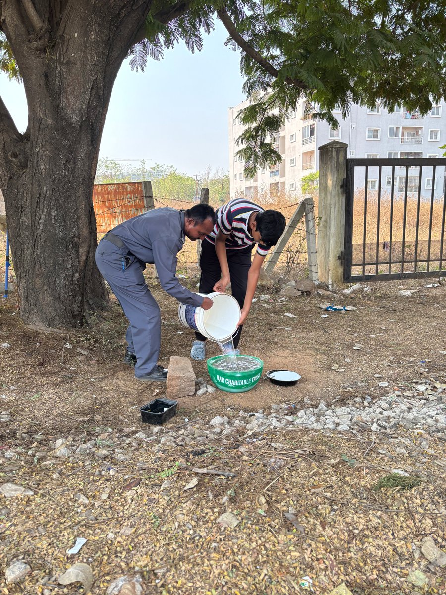 rar_trust's tweet photo. This summer, let's make a difference! 🐦‍⬛🌞

As the temperatures rise, our furry and feathered friends struggle to find water. A simple water tub outside your home, garden, or balcony can be a lifeline for countless animals and birds.

👉 Place a clean water bowl in a shaded area.
👉 Refill it daily.
👉 Spread the word and inspire others!

Small acts of kindness can create waves of change. Let's be their helping hand this summer! 💧

#SaveBirds #AnimalLove #SummerCare #WaterForAll #BeKind #birds #summer #hyderabad #secunderabad #Telangana #trendingpost #trendingnow #india  #SummerReady #Trending #water #HumanityFirst