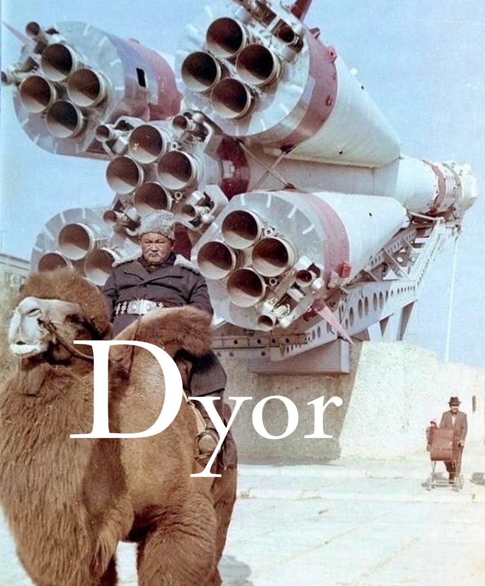 Dyor around and find out