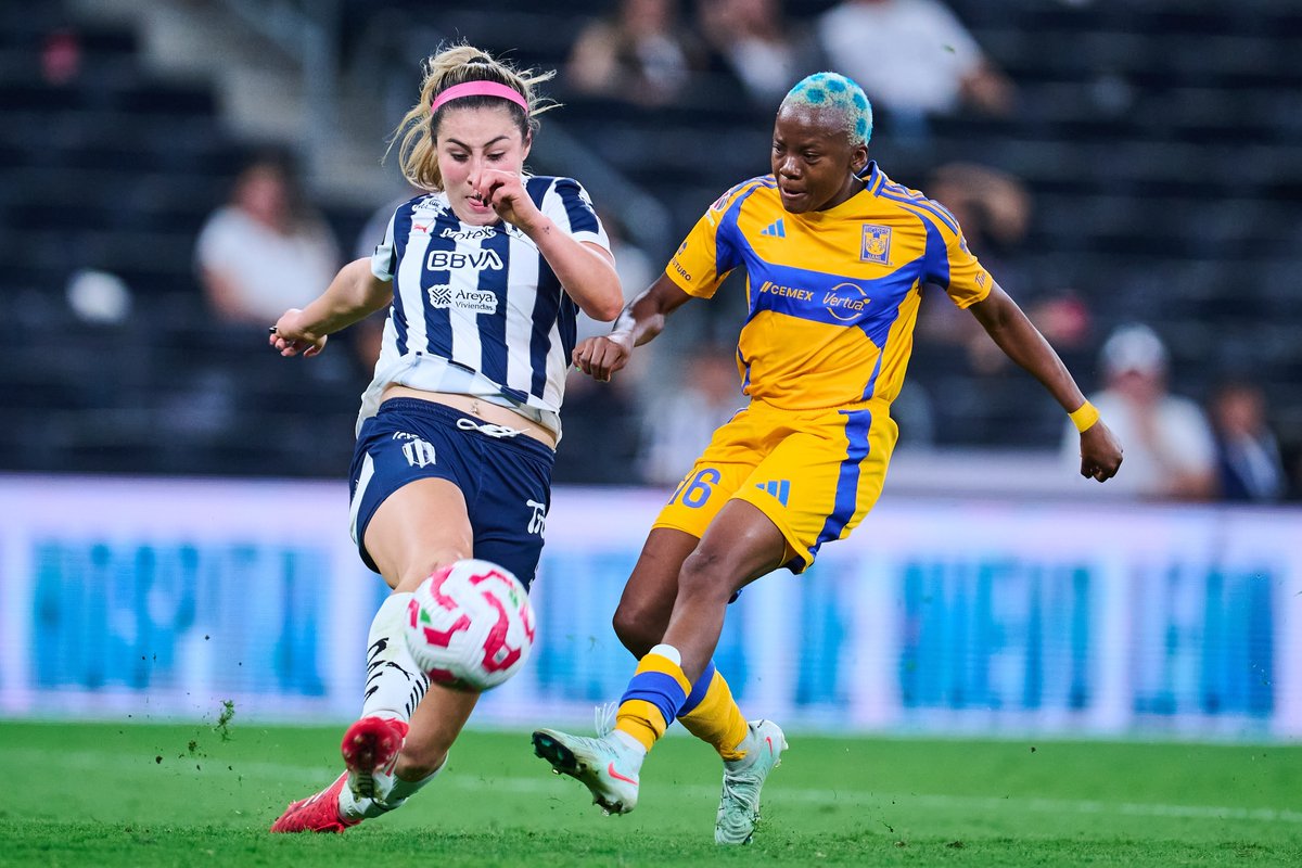 WeAreRayados's tweet photo. 𝓑𝓘𝓒𝓗𝓞𝓣𝓐 🔥 https://t.co/oQley24zm6