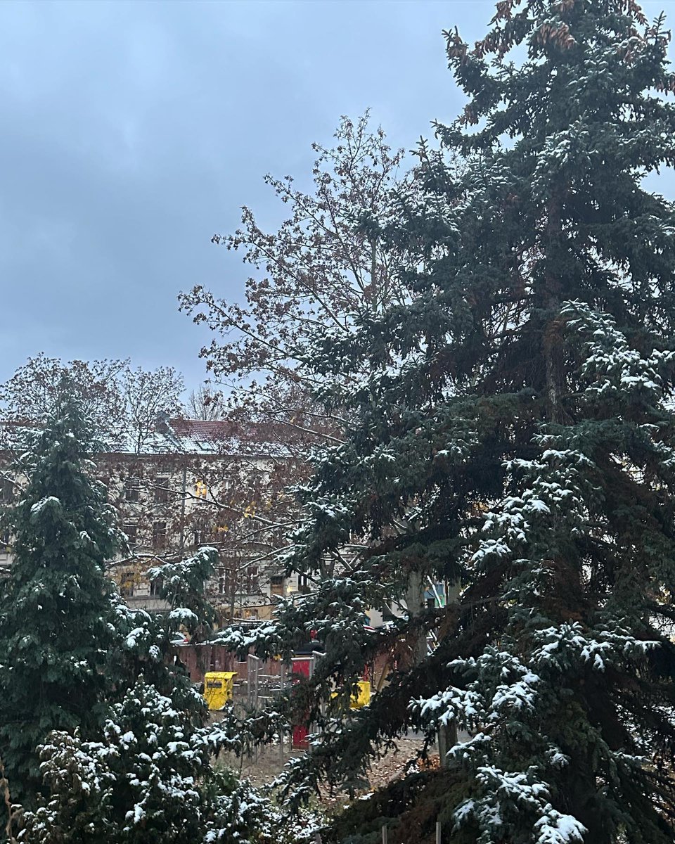 Embrace the beauty of winter! ❄️🌲 this snowy scene reminds us to find joy in the little things what’s your favorite winter memory? share below! ⬇️ 
.
.
.
.
#WinterWonderland #NatureLovers  #SnowyDays