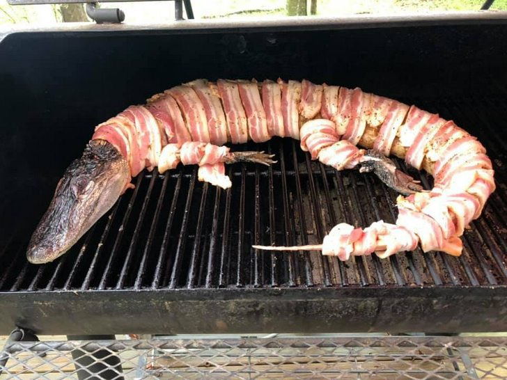 We eating good today on Cybertron
