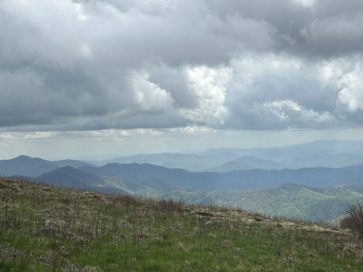 fooltrain's tweet image. today i walked a part of the appalachian trail at carvers gap (it was 2 days ago)