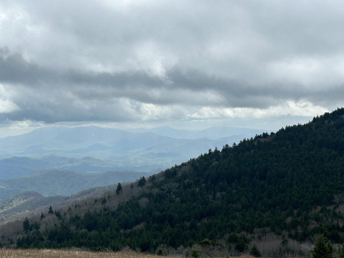 fooltrain's tweet image. today i walked a part of the appalachian trail at carvers gap (it was 2 days ago)