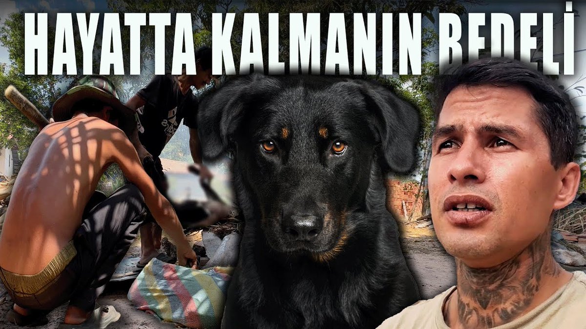 Kamboçya’nın kalbinde, Siem Reap’te gerçekleştirilen oldukça sıra dışı ve etkileyici bir ritüele tanıklık ettim. Geleneksel bir ortamda, bir köpeğin alınışından kesimine, etlerinin dağıtılıp yenilmesine kadar tüm süreci izledim. Çekimler boyunca yaşadığım duygusal zorlukları ve