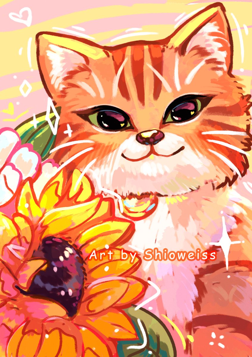 Michi de práctica✨
#art #cat #drawingart