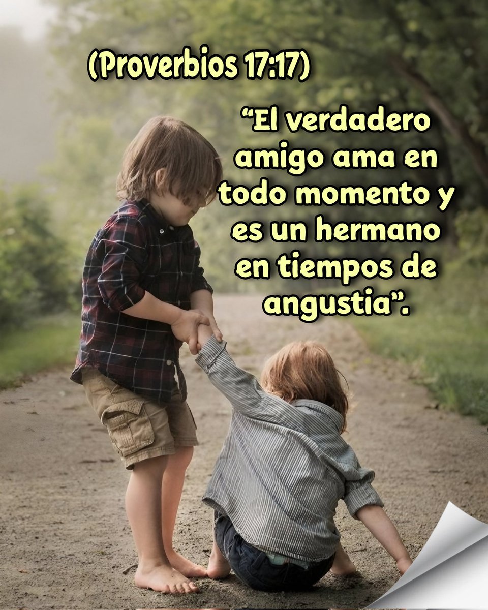 Frases y versos de La Bíblia. tweet media