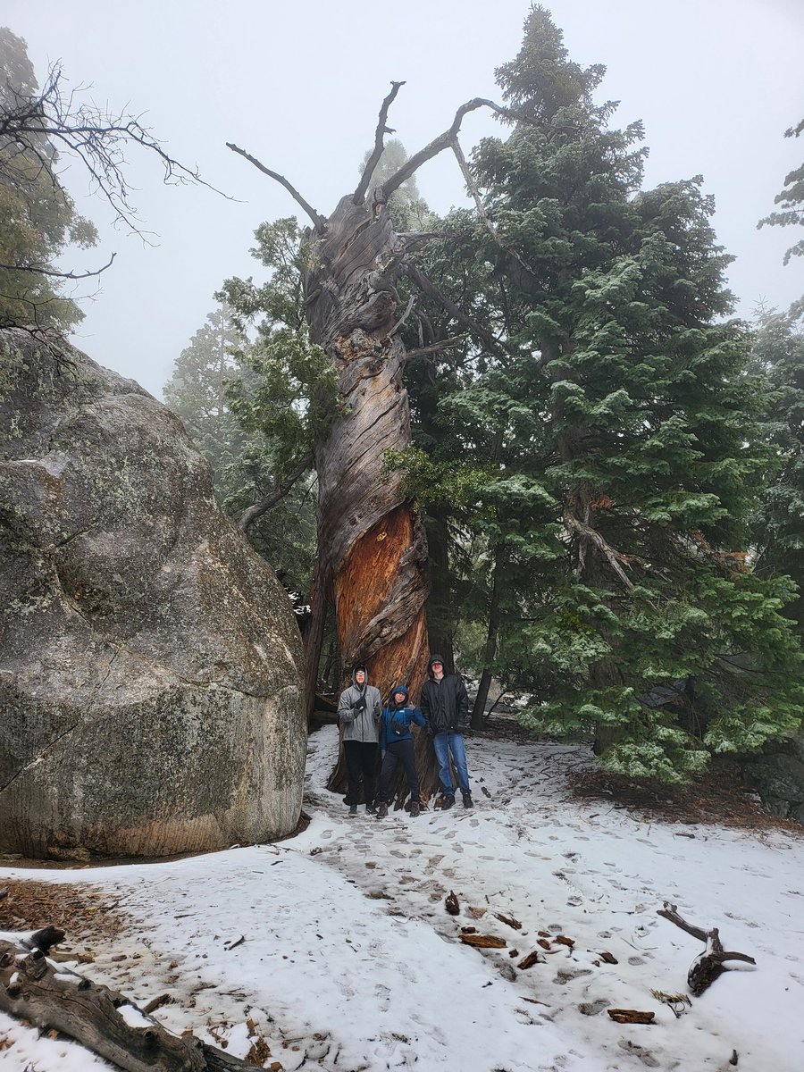 bnatarte's tweet photo. Had a great time camping this weekend with a late winter storm! 
#subaruambassador #socal #camplife #idyllwild #tarpcamping https://t.co/xUKouYehpg