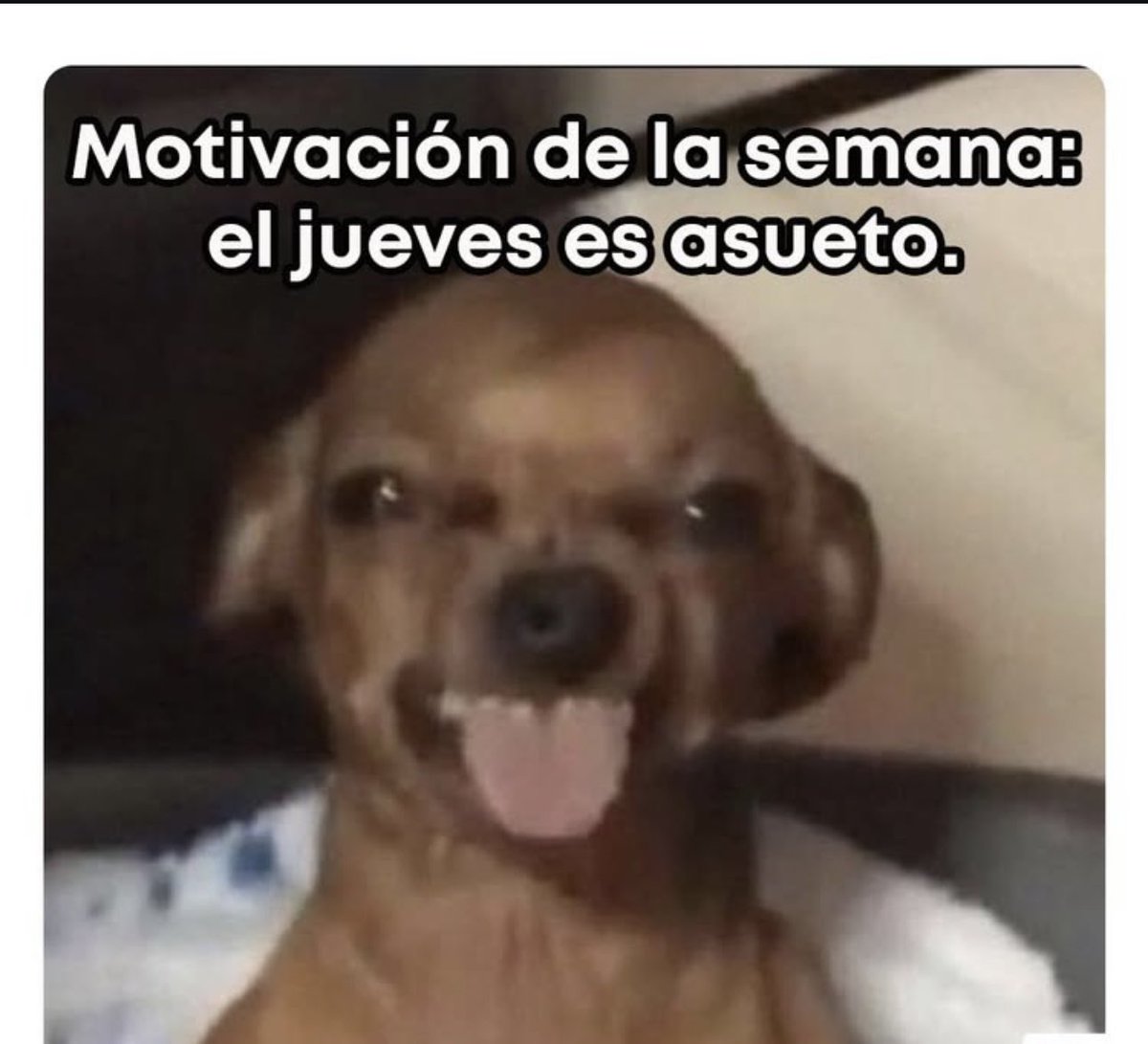 Marcela Menéndez (@marcelamenendez) on Twitter photo 