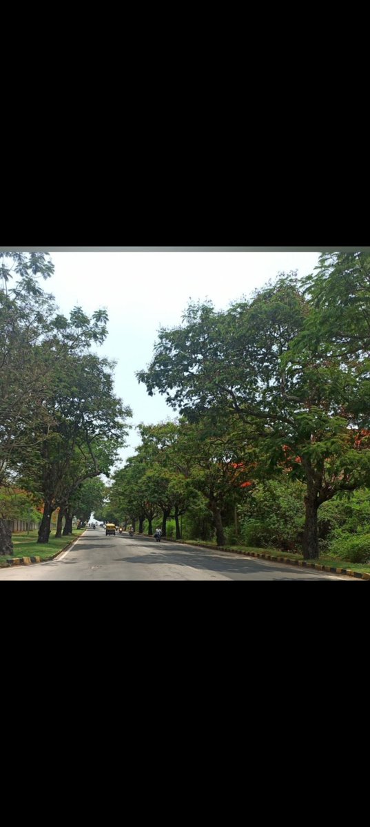 vidyuthsd's tweet photo. Good old memories of hyder ali road of mysuru..."THEN AND NOW"
@eshwar_khandre https://t.co/GZSGdEI8fu