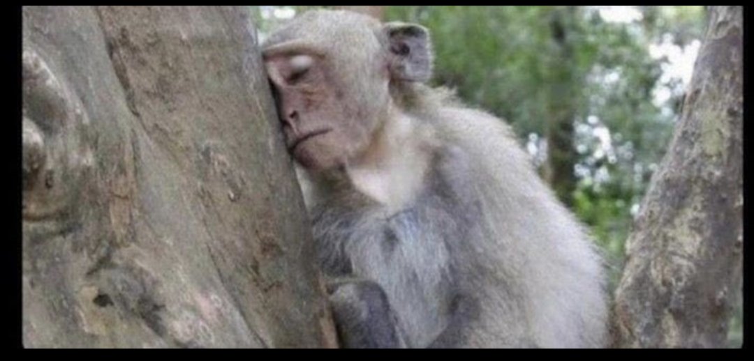 I follow back 
i follow back
i follow back
i follow back
i follow back
i follow back
just now am following back