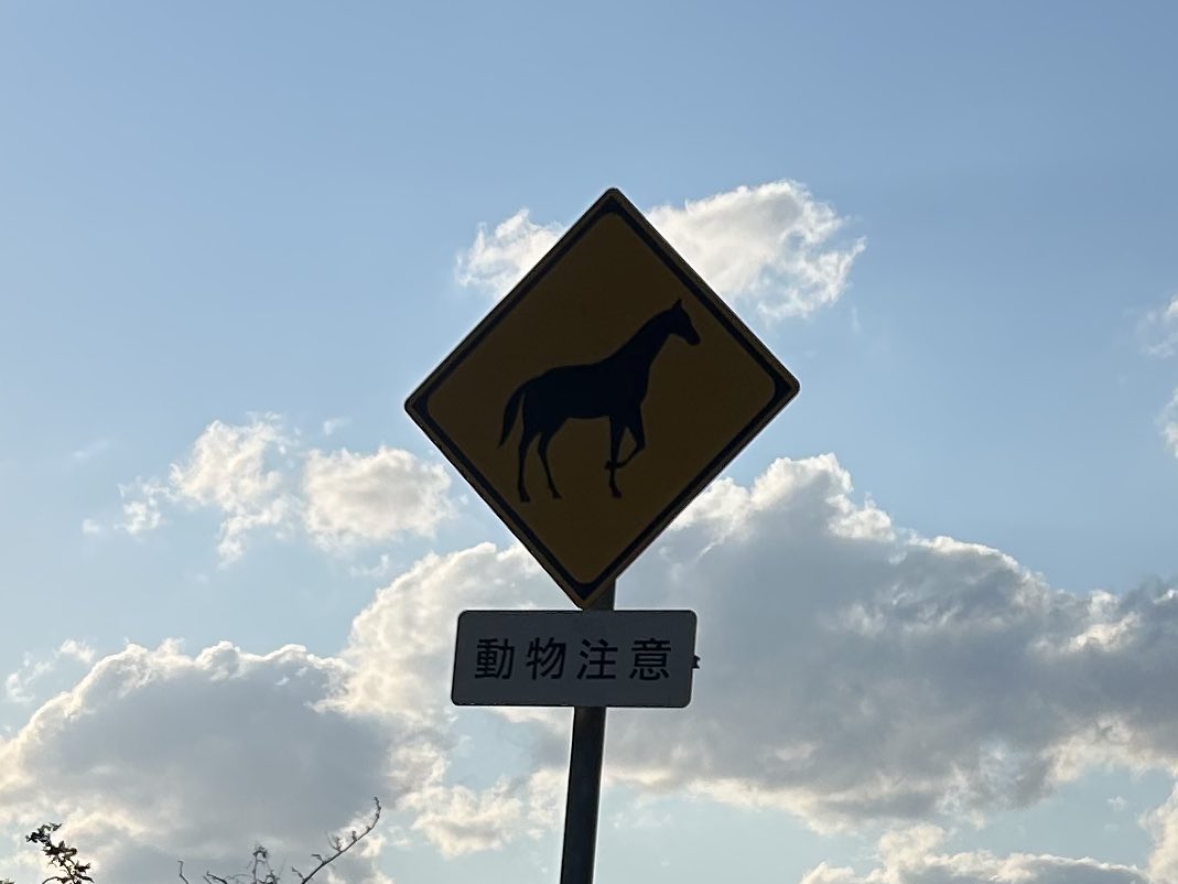 道南らしい標識。道南には野生？の馬がいるからね。
馬、鹿に注意が必要らしい😆
道南の人は野生馬？野良馬？って見たことあるのかな🤔
熊ぐらい珍しいのかな🤔
#ジクサー
#標識
#函館市