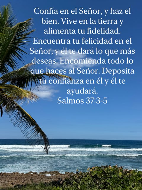 Azalia_4's tweet image. 