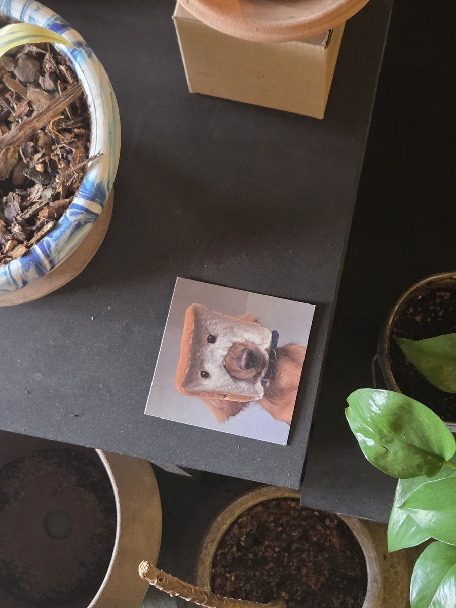 민이 (@woalcnrn) on Twitter photo 