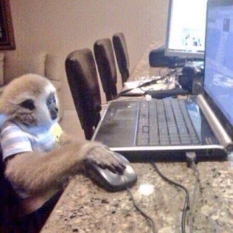 rivers as monkeys (@riversmonkeys) on Twitter photo 