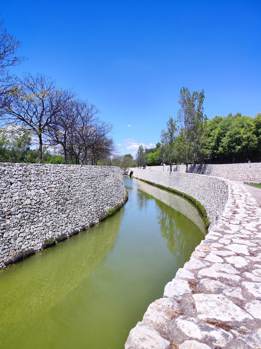 Pau Company 💻🖥️🛡️Paz y Amor 🕊️ tweet media