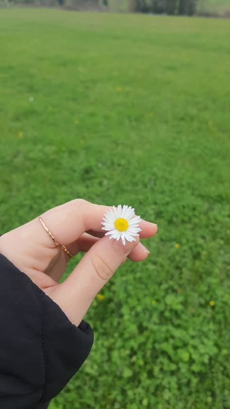 رشتے فرصت کے محتاج نہیں ہوتے ترجیح کے ہوتے ہیں ۔
وقت مانگ کر لینا وہ وقت آپکا نہیں کیونکہ آپنے مانگ کر لیا۔
آسانی سے میسر ہو جاتا بھی رسپیکٹ کھو دیتا ہے ۔
مخلص رہیں  بے شک مختصر رہیں