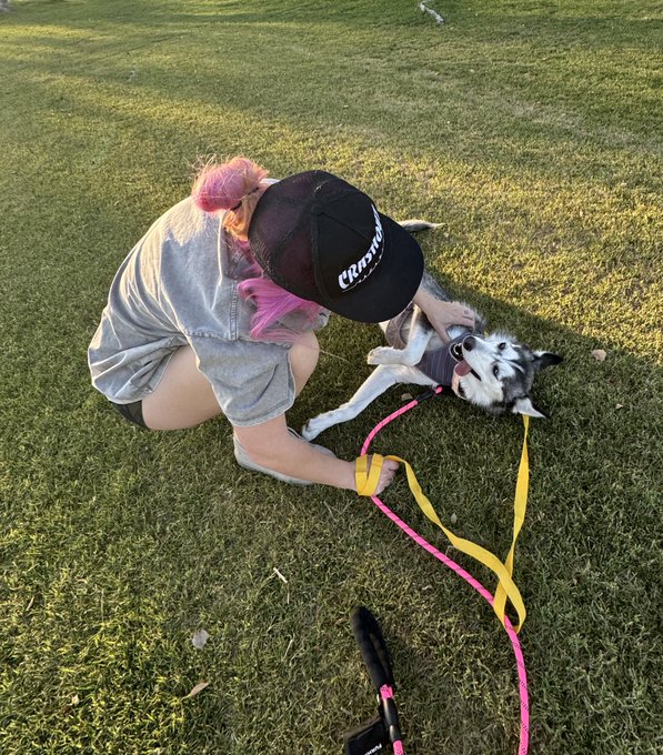1 pic. The Birdie has landed!   We are fostering this sweet 2 year old Husky pup named Birdie for the<a href="/tag/starwarscelebrationjapan"class="tags"><span>#starwarscelebrationjapan</span></a>