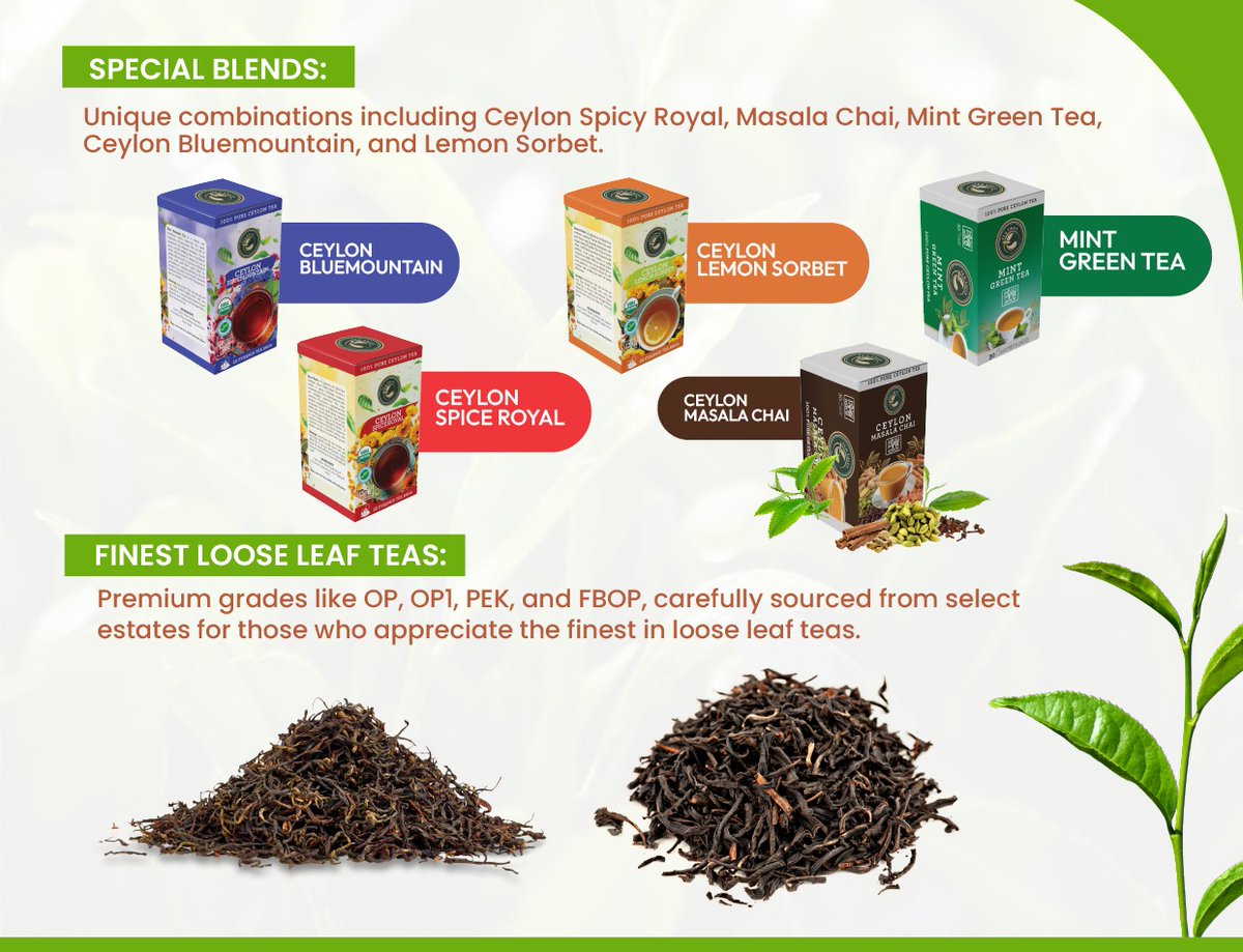 Our Special Tea Blends
"⏳ LIMITED OFFER: First 3 buyers get 5% OFF + FREE shipping   on 500kg+ orders!   ✅ Organic Certified   ✅ EU/USA Compliant   DM ‘DEAL’ to   claim! #TeaTrade"*