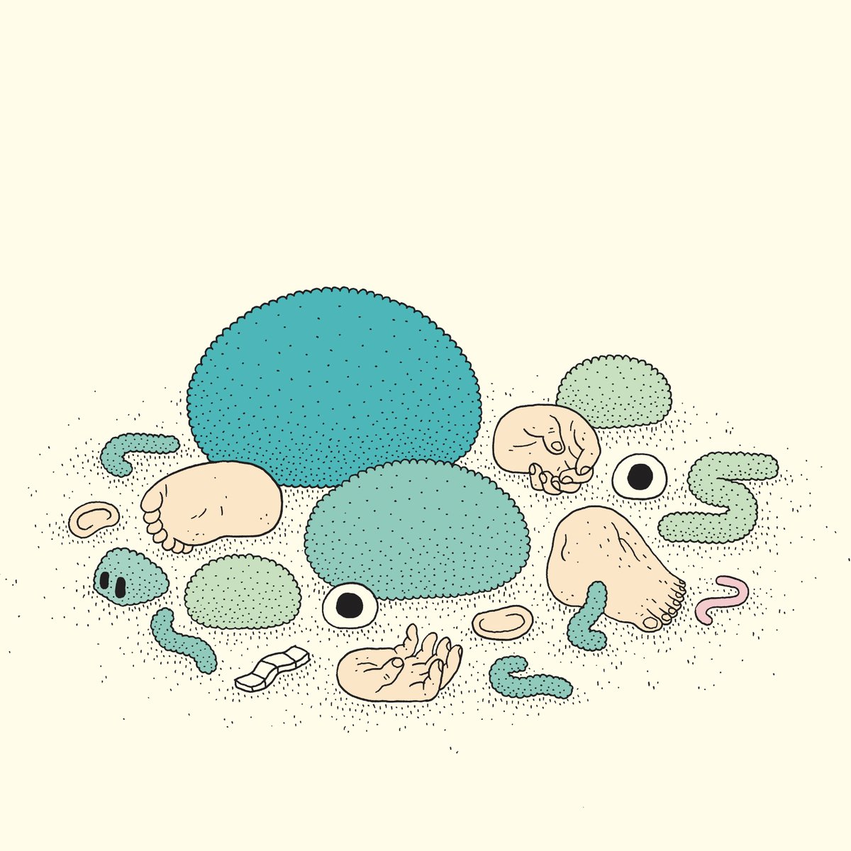 HUBER ÉDITIONS tweet media