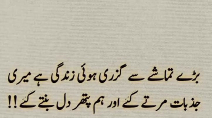 बड़े तमाशे से गुजरी हुई जिंदगी है मेरी जज्बात मरते गए और हम पत्थर दिल बनते गए