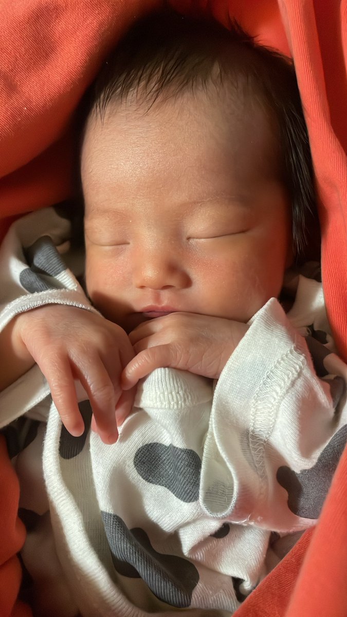 __rin_chan_'s tweet photo. 苺花ﾁｬﾝ［モカﾁｬﾝ］🍓🌼
ウチの子が、やっばい可愛すぎる…🤦🏻‍♀️💕
　　　
　　　　　　　　　　　　2025.04.15 https://t.co/O9AYh3KS7m