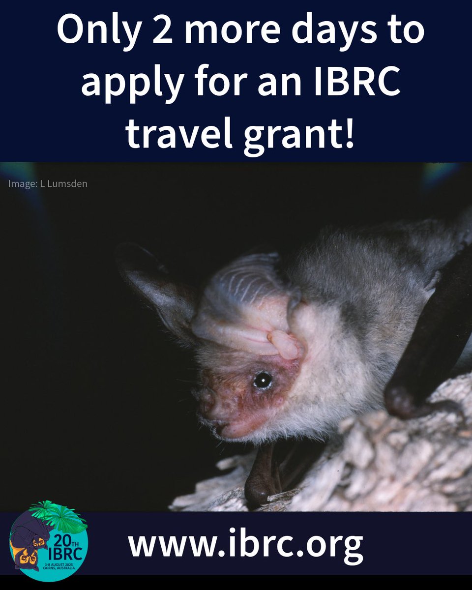Applications for our travel grants close tomorrow!
For all information please head to our website-
ibrc.org/travel-grants.…
#ibrc2025 #bats #batresearch