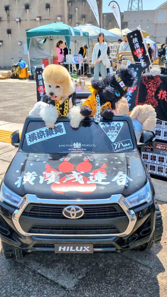 masao4864's tweet photo. 4月26日、27日 福井県越前市サンドーム福井で行われたワンコイベント【WONDERFUL FESTA】の思い出の写真😎✨
＃福井県
＃越前市
＃サンドーム福井
＃トイプードル https://t.co/QgBCv5qQ9H