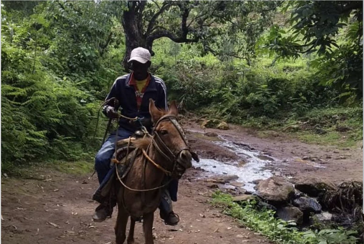 Ethiopia Reads supports children's reading in many ways across Ethiopia, and knowing that there are always more resources in Addis Ababa and the larger cities, we try hard to also find ways to reach children in rural communities. In 2016, we were delighted when the Library of