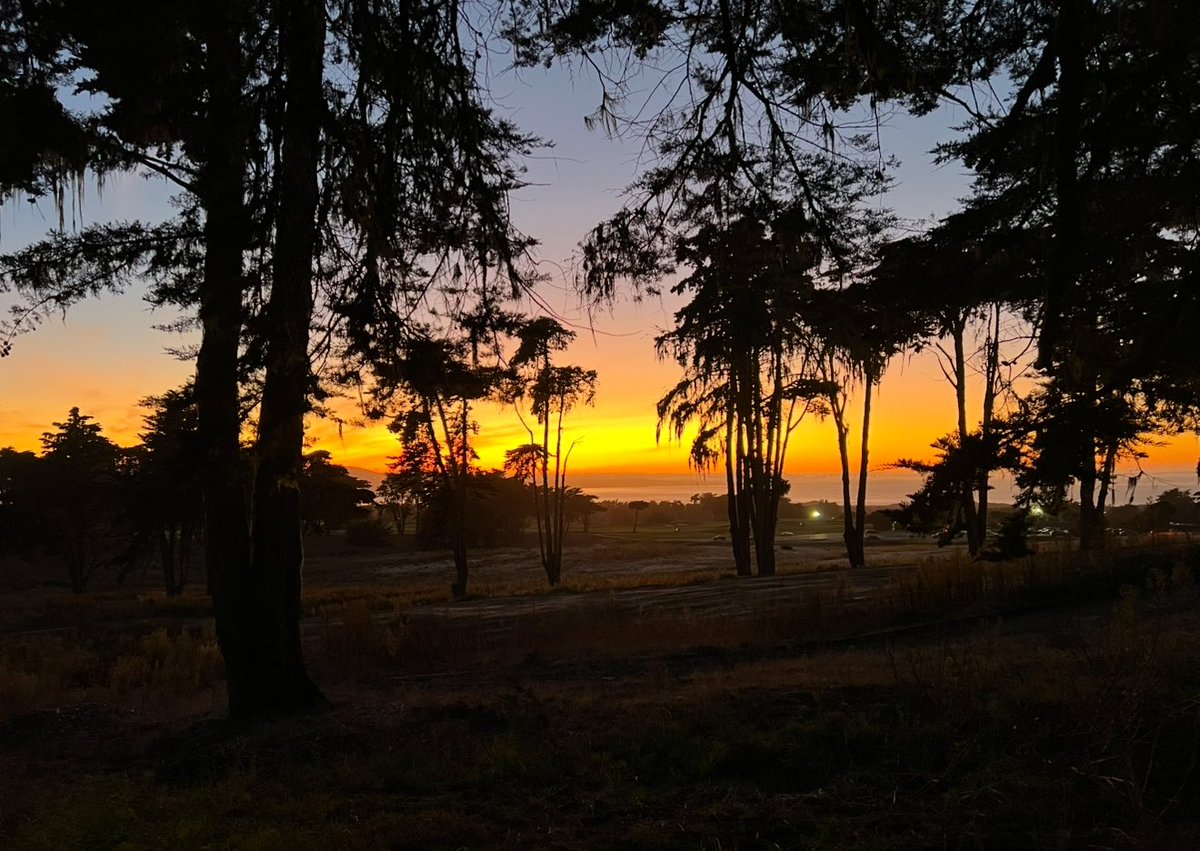 Gn party people 

Tomorrow is a new day!