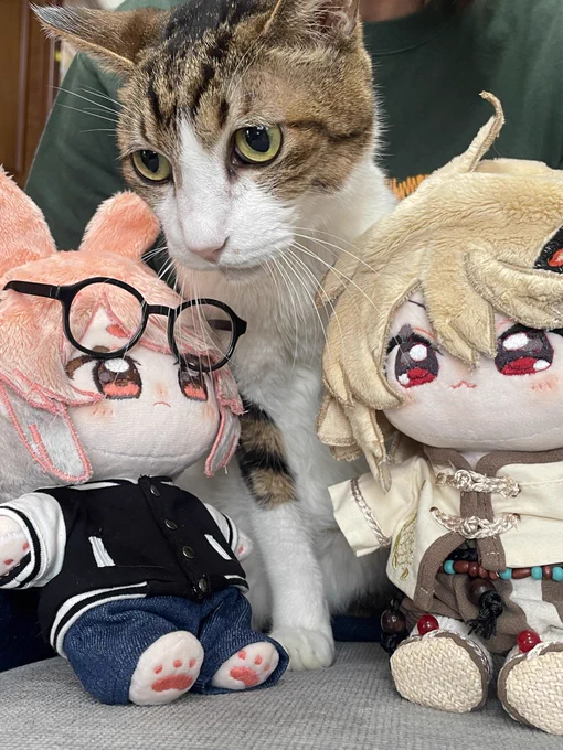 ヌオアー 