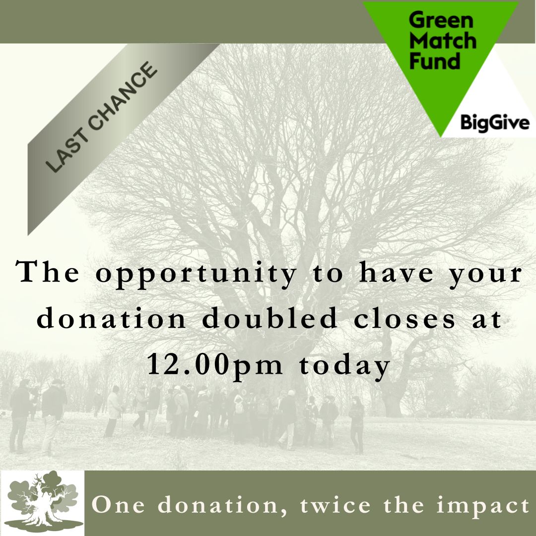 Today is the final day of our Big Give campaign. Please consider donating before 12 noon TODAY, to help us raise our goal of £10,000 to support our work: tinyurl.com/yznn5x5e 
#GreenMatchFund