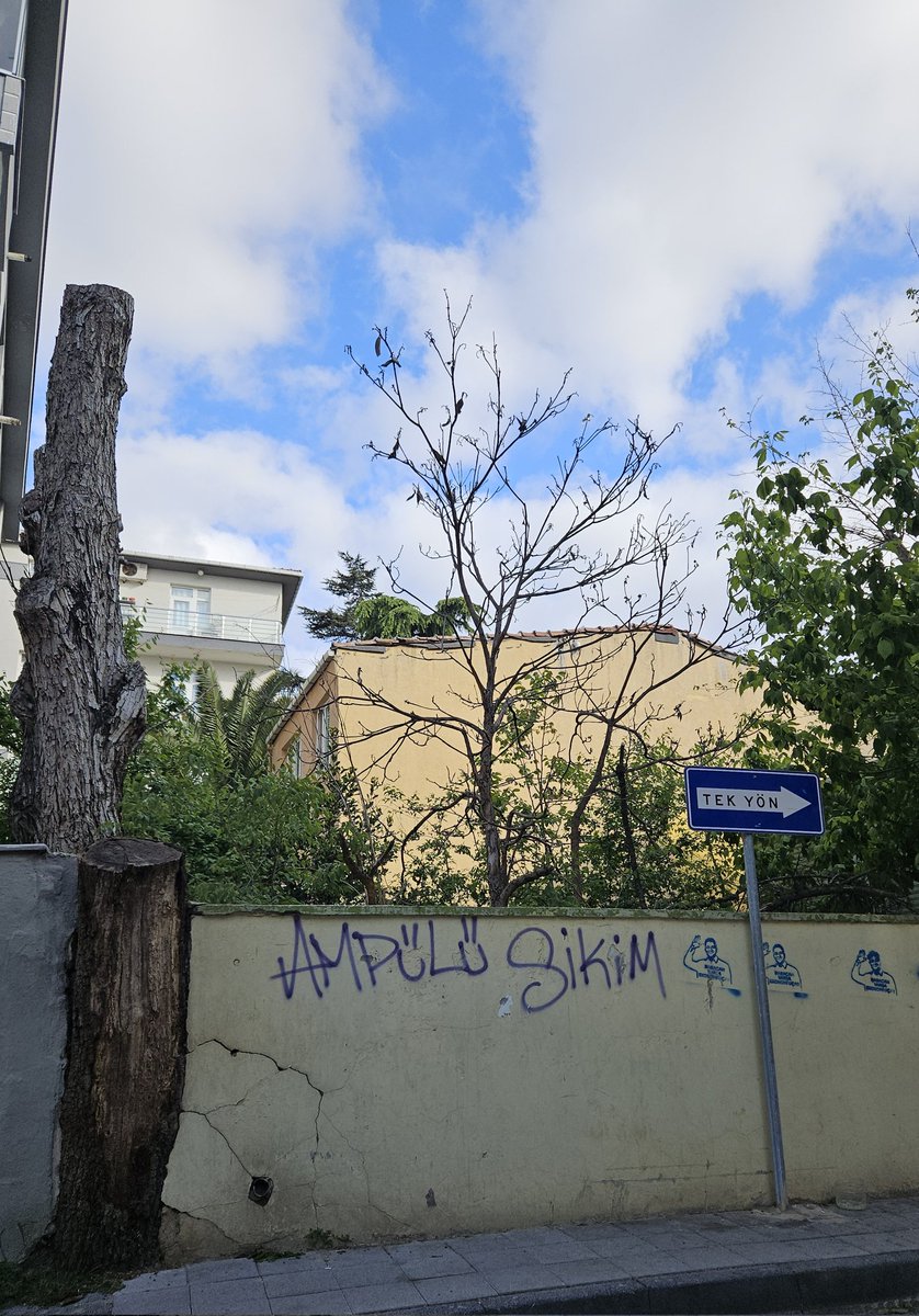 Anon (@niteliksizzbiri) on Twitter photo 